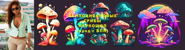 spice Баксан