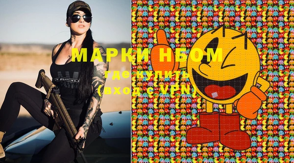 эйфоретик Аркадак