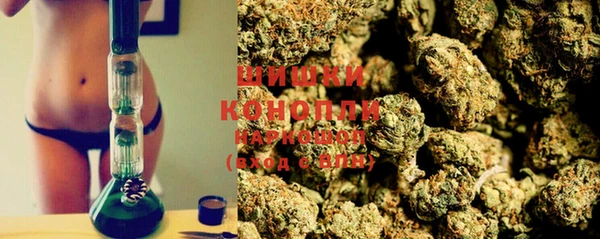 ГАЛЛЮЦИНОГЕННЫЕ ГРИБЫ Балахна