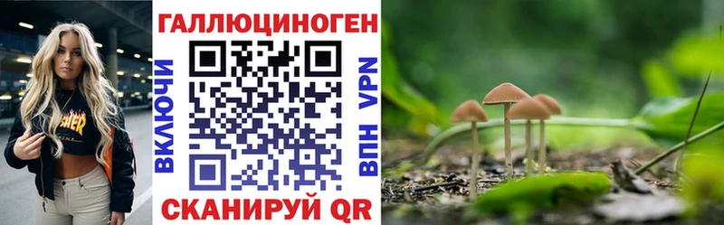 Купить  Тобольск  Псилоцибиновые грибы Cubensis 